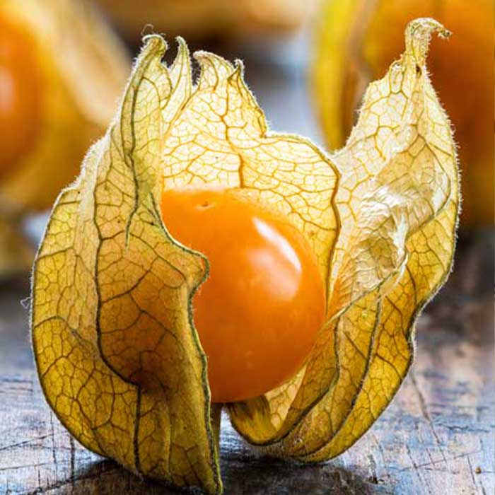 Aton Green Egypt Fresh Fruits & Vegetables